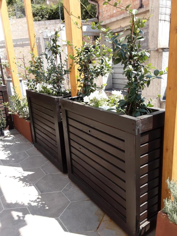 B&B Il Fabbro Chambre Castelmauro Zewnętrze zdjęcie